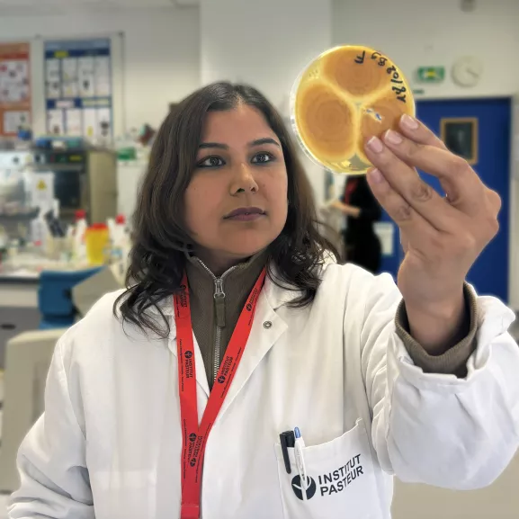 Travaux pratiques Cours Pasteur Mycologie Médicale