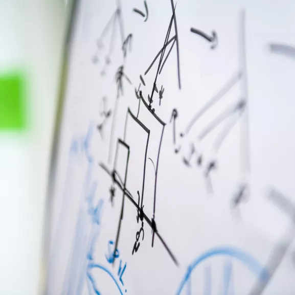 écritures sur tableau blanc