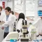 laboratoire