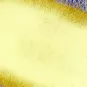 Fiches maladies - Escherichia Coli - Institut Pasteur