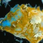 Département d'immunologie - Institut Pasteur