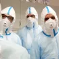 Département Infection et épidémiologie - Institut Pasteur
