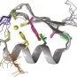 Biologie structurale - Institut Pasteur