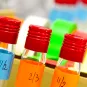 Comment nous soutenir  - Institut Pasteur