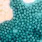 Fiches maladies - Poliomyélite - Institut Pasteur