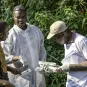 © Institut Pasteur de Bangui/Jean-Marc Zokoué