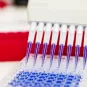 The 2017 Sanofi-Institut Pasteur Award Winners