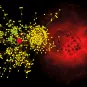 Recherche vaccinale - Institut Pasteur