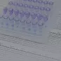 ADN - DNA - Institut Pasteur