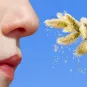 institut pasteur - allergies