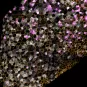Cellules souches - Danio rerio - Institut Pasteur