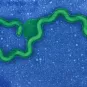 Bactérie spirochète - Crédit Institut Pasteur