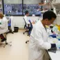 Dans le laboratoire Microenvironnement et immunité - Institut Pasteur