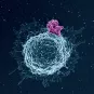 MOOC HIV SCIENCE - Institut Pasteur