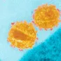 VIH : Identification de récepteurs clés de la réponse immunitaire chez les patients contrôlant spontanément l'infection - Institut Pasteur