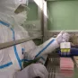 'Inserm et l'Institut Pasteur identifient une nouvelle variante du virus Ebola en Guinée