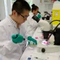 Institut Pasteur