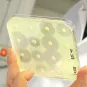 Face à l’antibiorésistance, une nouvelle arme tueuse de bactéries