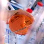 Sanofi - Institut Pasteur Awards
