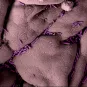 NOUVEAU MOOC  Résistance aux agents antibactériens 