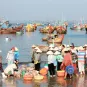 Recommandations - Préparer son voyage au Vietnam - Institut Pasteur