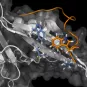 Cancer Initiative at Institut Pasteur