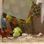 Volailles - Enfants - Sénégal - Institut Pasteur