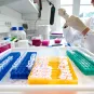 INNOVATION - Licensing Opportunities - Institut Pasteur