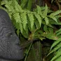 nouvelle-zelandeadobestock_69547769.jpg