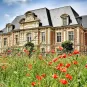 Duclaux Poppies
