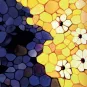 ue artistique d’un épithélium et de l’élimination des cellules