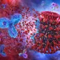 Sars-Cov-2 Immunity