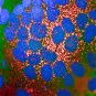 Les variants Alpha, Bêta et Delta de SARS-CoV-2 possèdent des propriétés de fusion virale augmentée par rapport aux souches plus anciennes