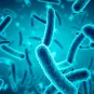 Graduate School Antimicrobial Resistance (AntiRes) Photo ©Adobe Stock
