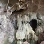 Un virus proche du SARS-CoV-2 découvert chez des chauves-souris au Cambodge