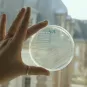 Institut Pasteur