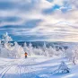 Photographie illustrative de Finlande, paysage enneigé