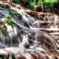 Photographie illustrative de la Jamaique - Chutes de la rivière Dunn 