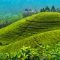 Photo illustrative du Sri Lanka