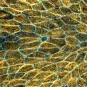 Microtubules - dying cell - Levayer - Villars - Institut Pasteur