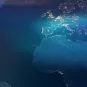 Carte du monde © AdobeStock