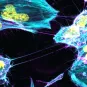 Les cellules microgliales humaines se connectent entre elles par l'intermédiaire de TNT. L'élément du cytosquelette, l'actine, est marqué en cyan, la membrane plasmique en magenta et les noyaux en jaune. © Institut Pasteur/Ranabir Ranabir CHAKRABORTY et C