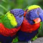 Photo illustrative de la Guadeloupe