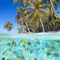 Photo illustrative Maldives