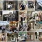 Transfert des collections