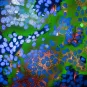 Cellules humaines infectées par SARS-CoV-2 