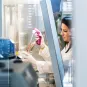 Manipulation en laboratoire - Institut Pasteur