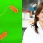 legionella-Carmen Buchrieser.jpg