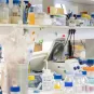photo d'illustration - Un laboratoire à l'Institut Pasteur
