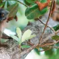 Photo illustrative Mayotte